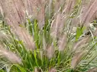 阿邪訶根神社(福島県)