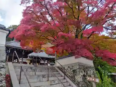 善峯寺(京都府)