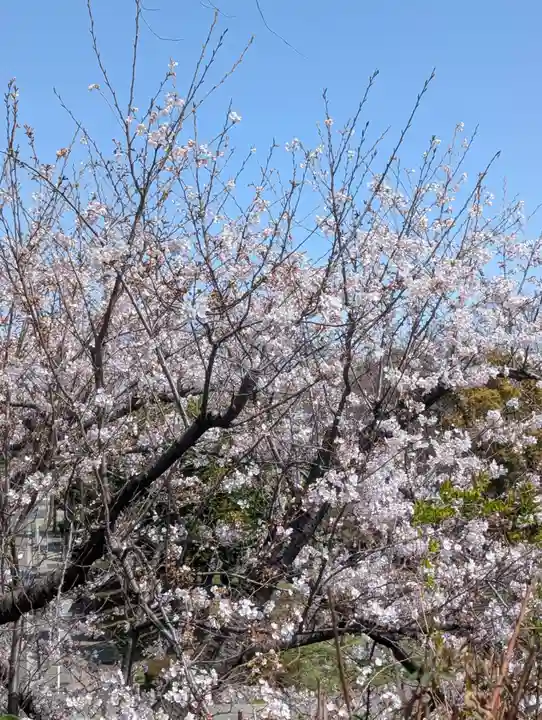 和田山琴平神社(神奈川県)