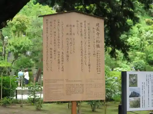 建長寺の歴史