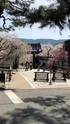 醍醐寺の山門・神門