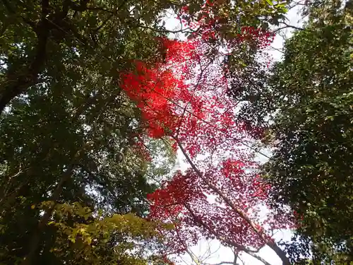 石座神社の自然