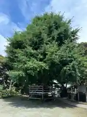 熊野神社（長井熊野神社）(神奈川県)