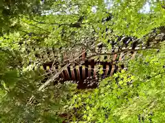 武水別神社(長野県)