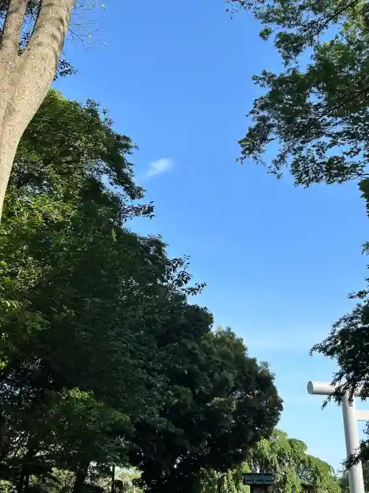 櫻木神社(千葉県)