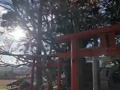 亀麿神社の鳥居