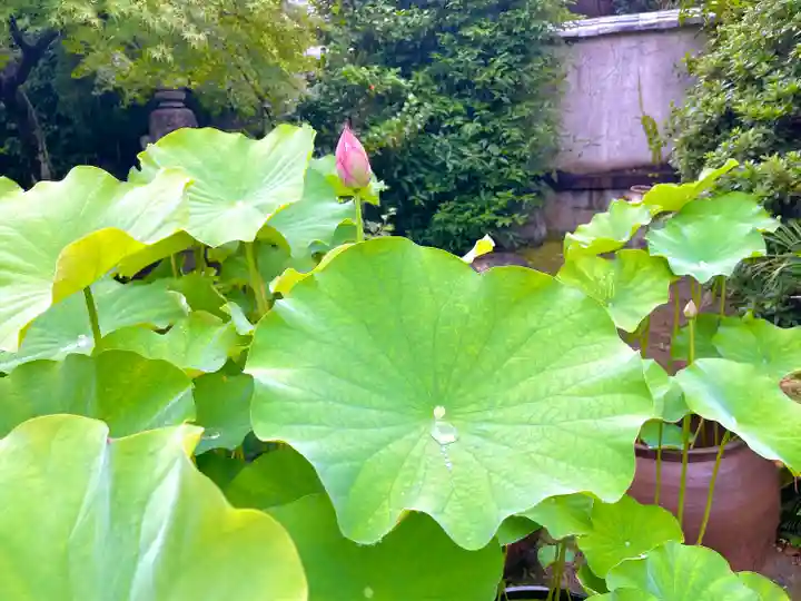 伊勢の国 四天王寺(三重県)