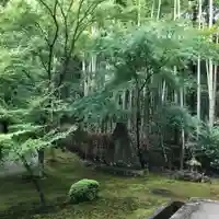 詩仙堂(丈山寺)の庭園