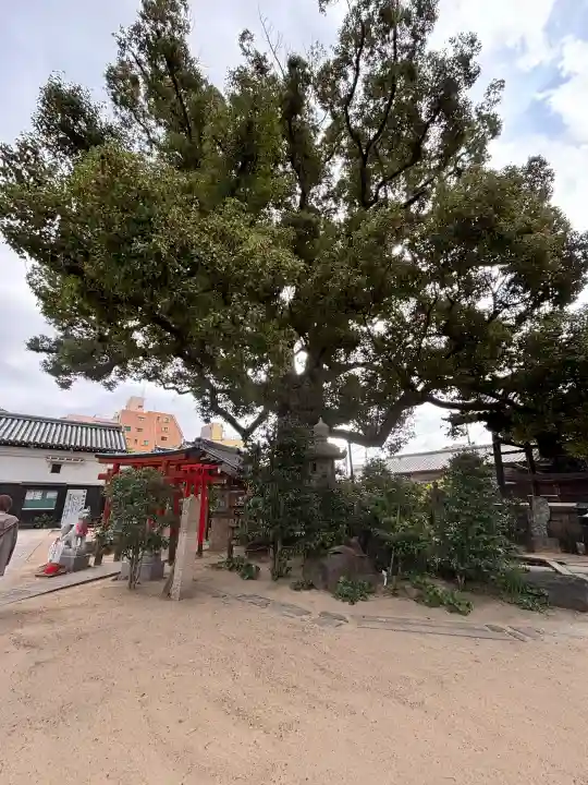 法楽寺の{uncategorized: "未分類", other: "その他", undefined: "問題あり", building: "その他建物", grave: "お墓", sacred_gate: "鳥居", guardian: "狛犬", statue: "像", buddha: "仏像", history: "歴史", nature: "自然", garden: "庭園", animal: "動物", pagoda: "塔", temizu: "手水舎", mountain_gate: "山門・神門", sanctuary: "本殿・本堂", subordinate: "末社・摂社", art: "芸術", scenery: "景色", jizo: "地蔵", ema: "絵馬", goshuin: "御朱印", omikuji: "おみくじ", items: "授与品その他", amulet: "お守り", goshuincho: "御朱印帳", eats: "食事", festival: "お祭り", votive_dance: "神楽", shichigosan: "七五三参", wedding: "結婚式", experience: "体験その他", initially: "初詣", around: "周辺", anti_infection: "感染症対策"}