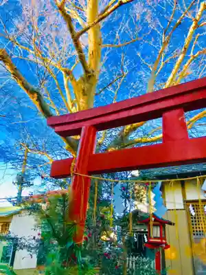 龍ケ崎八坂神社の鳥居