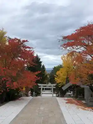 住吉神社のその他建物