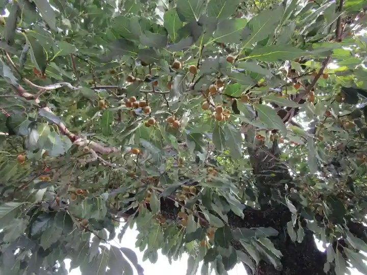 万松院(長崎県)