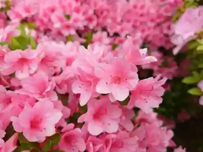 根津神社(東京都)
