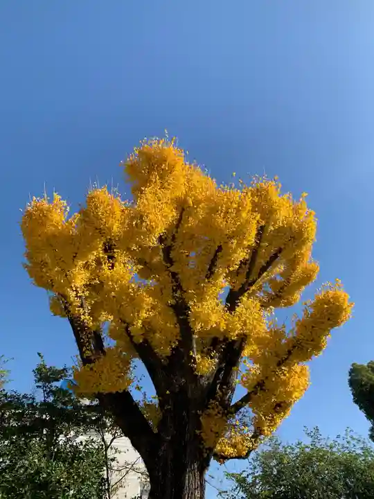 六甲八幡神社(兵庫県)