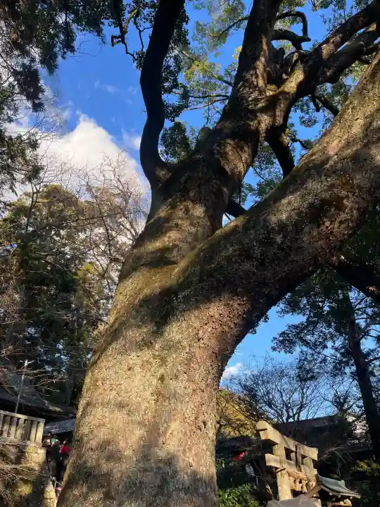 事任八幡宮の{uncategorized: "未分類", other: "その他", undefined: "問題あり", building: "その他建物", grave: "お墓", sacred_gate: "鳥居", guardian: "狛犬", statue: "像", buddha: "仏像", history: "歴史", nature: "自然", garden: "庭園", animal: "動物", pagoda: "塔", temizu: "手水舎", mountain_gate: "山門・神門", sanctuary: "本殿・本堂", subordinate: "末社・摂社", art: "芸術", scenery: "景色", jizo: "地蔵", ema: "絵馬", goshuin: "御朱印", omikuji: "おみくじ", items: "授与品その他", amulet: "お守り", goshuincho: "御朱印帳", eats: "食事", festival: "お祭り", votive_dance: "神楽", shichigosan: "七五三参", wedding: "結婚式", experience: "体験その他", initially: "初詣", around: "周辺", anti_infection: "感染症対策"}