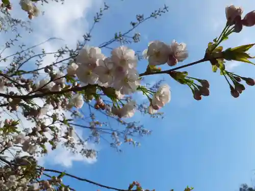 伊佐須美神社の自然