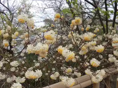 長谷寺(神奈川県)