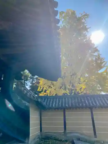 隨心院（随心院）のその他建物