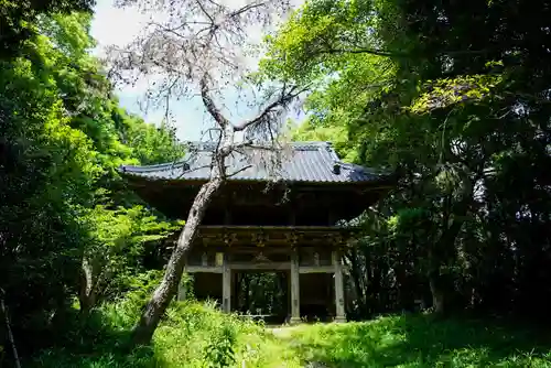降松神社(山口県)