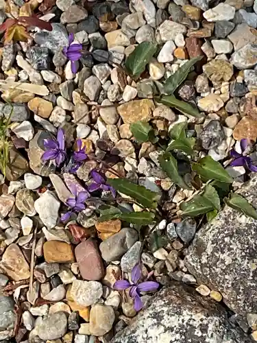 富部神社(愛知県)