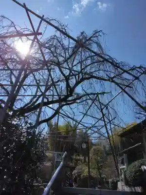 普門院(神奈川県)