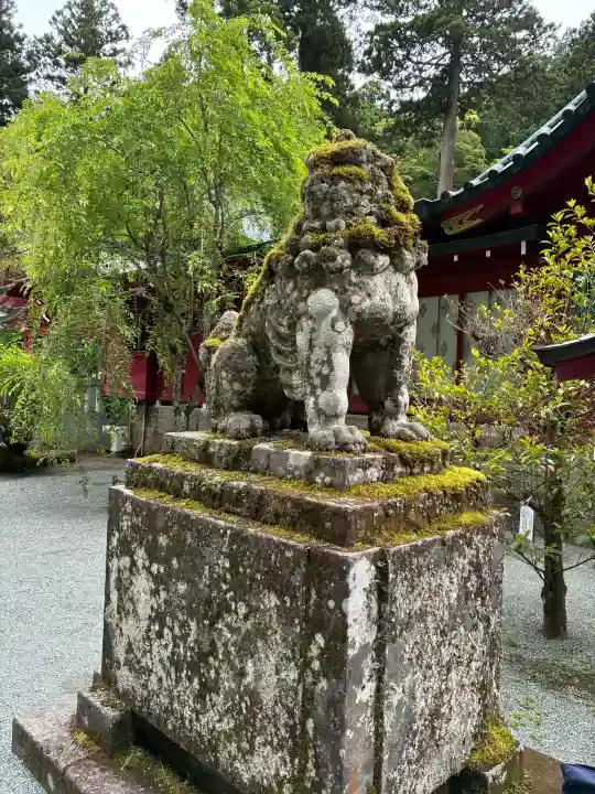 箱根神社の{uncategorized: "未分類", other: "その他", undefined: "問題あり", building: "その他建物", grave: "お墓", sacred_gate: "鳥居", guardian: "狛犬", statue: "像", buddha: "仏像", history: "歴史", nature: "自然", garden: "庭園", animal: "動物", pagoda: "塔", temizu: "手水舎", mountain_gate: "山門・神門", sanctuary: "本殿・本堂", subordinate: "末社・摂社", art: "芸術", scenery: "景色", jizo: "地蔵", ema: "絵馬", goshuin: "御朱印", omikuji: "おみくじ", items: "授与品その他", amulet: "お守り", goshuincho: "御朱印帳", eats: "食事", festival: "お祭り", votive_dance: "神楽", shichigosan: "七五三参", wedding: "結婚式", experience: "体験その他", initially: "初詣", around: "周辺", anti_infection: "感染症対策"}