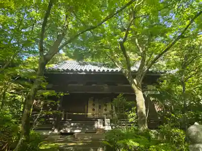 善法律寺(京都府)