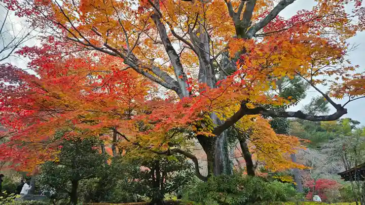 天龍寺(京都府)