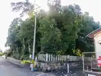 奥津神社の自然
