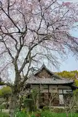 恵心院(京都府)