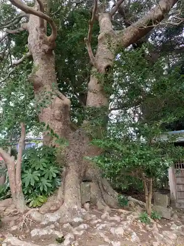 稲荷神社(千葉県)
