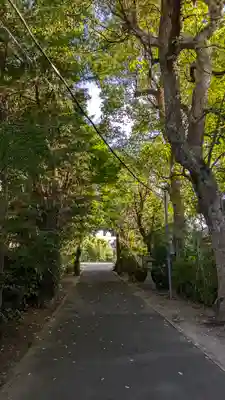 許波多神社(五ケ庄鎮座)(京都府)