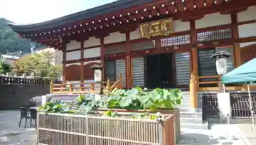 瑞圭山 浄国寺の本殿・本堂
