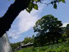 鶴岡八幡宮の庭園