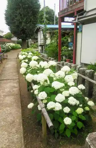日吉八王子神社の庭園