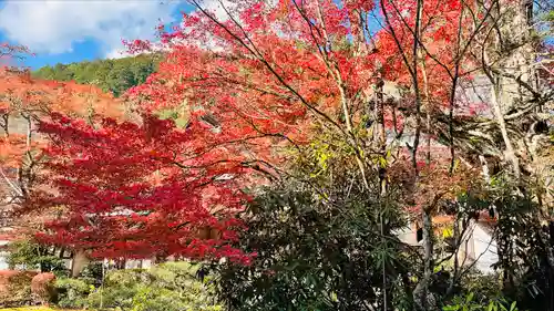 西明寺(京都府)
