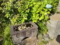 海応寺の手水舎