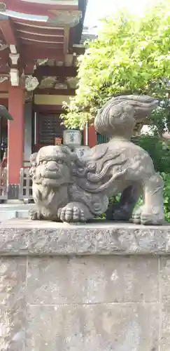 千住本氷川神社の狛犬