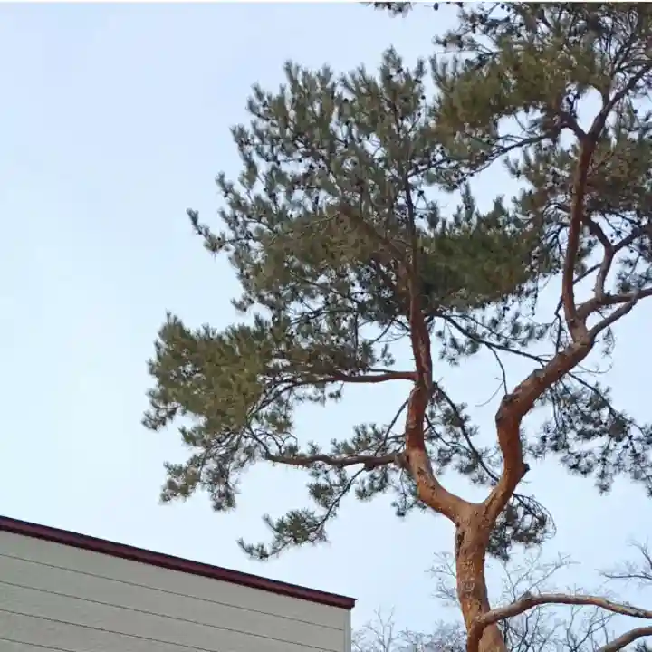 彌彦神社 (伊夜日子神社)の自然