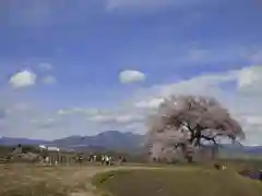 実相寺(山梨県)