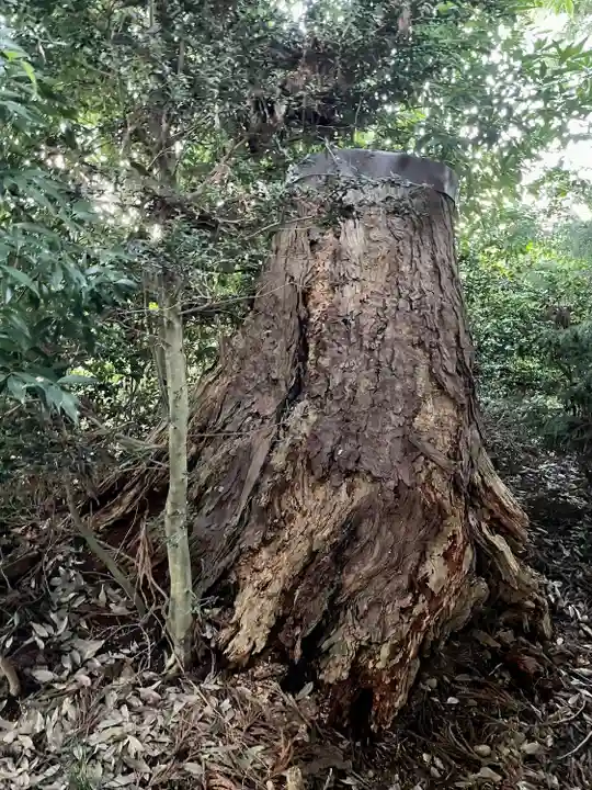 星宮神社(栃木県)