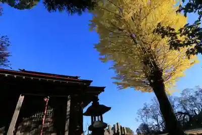 山神社の本殿・本堂