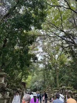 春日大社(奈良県)