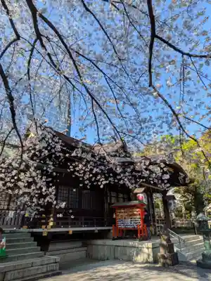 熊野神社(東京都)