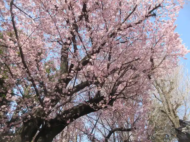 田端八幡神社(東京都)