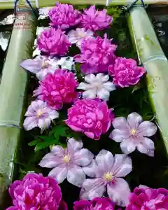 立志神社(滋賀県)(2024年05月10日(金) 12時44分21秒投稿)