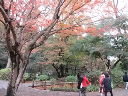 妙本寺の庭園