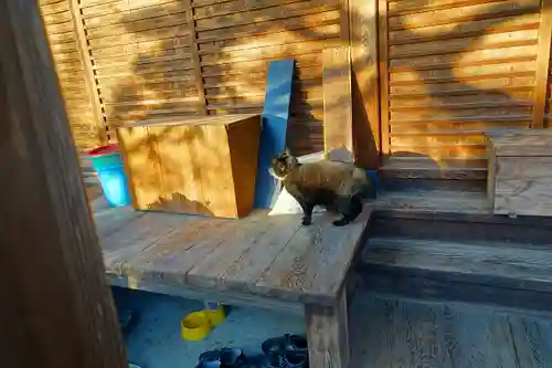 梅宮大社の動物