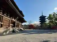 東寺(教王護国寺)(京都府)