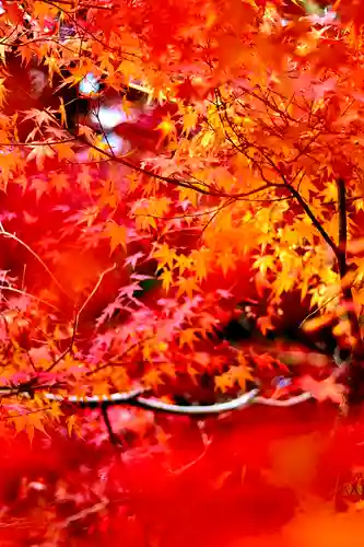 西明寺(滋賀県)